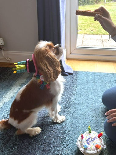 Lady-1st Birthday-2025_05_26.jpg